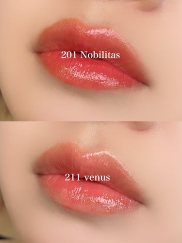 ブラーグロイリップティント 201 ノビリタス/Dinto/口紅を使ったクチコミ（3枚目）