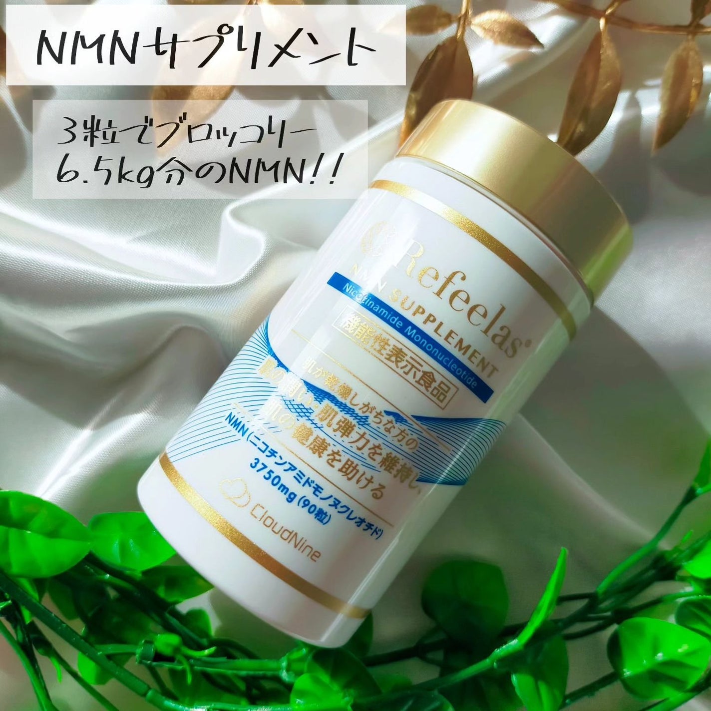 Refeelas NMNサプリメント/Refeelas/健康サプリメントを使ったクチコミ(1枚目)