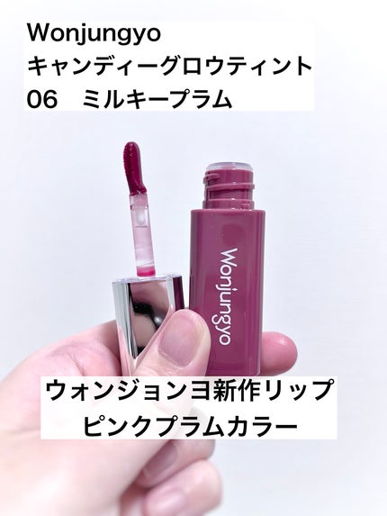 ウォンジョンヨ キャンディーグロウティント 06 ミルキープラム/Wonjungyo/リップティントを使ったクチコミ(1枚目)