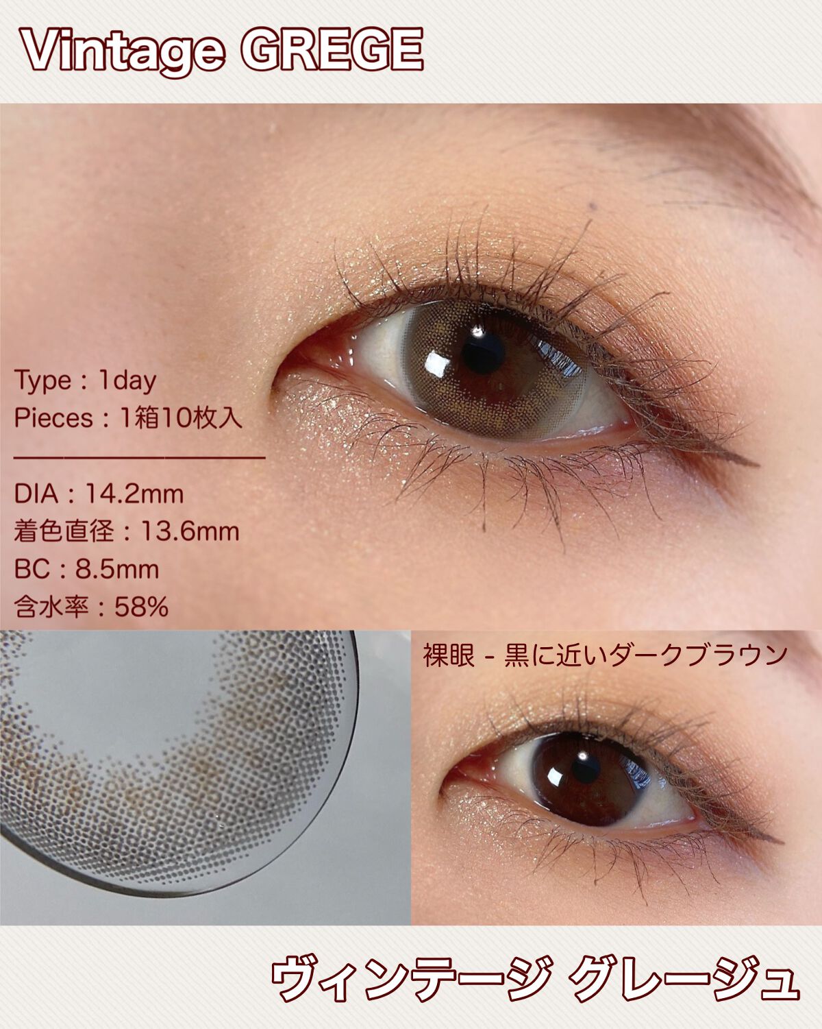 Angelcolor Bambi Series Vintage 1day/AngelColor/ワンデー（１DAY）カラコンを使ったクチコミ（2枚目）