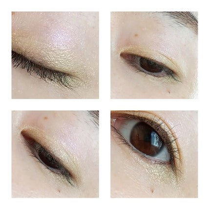 フラロッソ インテンソ アイシャドウ GR03/アスタリフト/アイシャドウパレットの画像