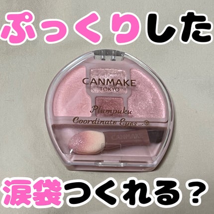 プランぷくコーデアイズ/キャンメイク/パウダーアイシャドウを使ったクチコミ(1枚目)