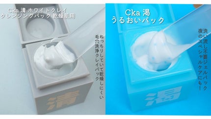 クレイパック 清 ライトグレー(しっとり)/C+/洗い流すパック・マスクを使ったクチコミ(3枚目)