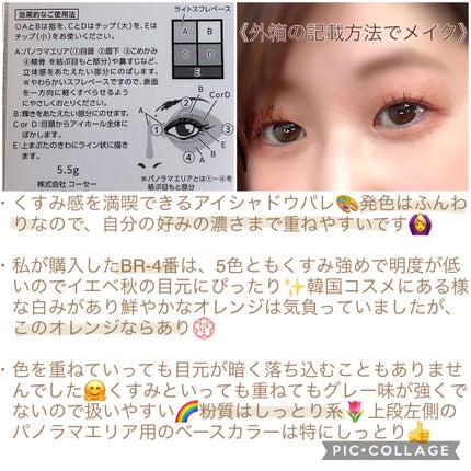 パノラマデザイン アイパレット/Visée/アイシャドウパレットを使ったクチコミ(2枚目)