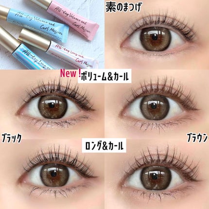 オールデイ ロング アンド カール マスカラ/Milk Touch/マスカラを使ったクチコミ(6枚目)
