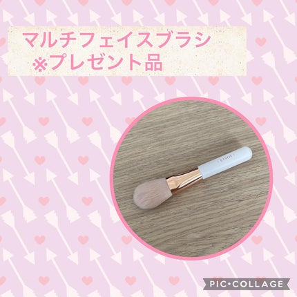 ミネラルクラッシィシャドー/エトヴォス/アイシャドウパレットを使ったクチコミ(6枚目)