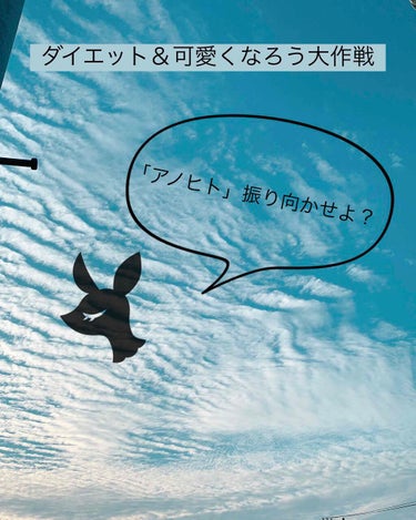 ボディシェイプ 寝ながらスパッツ 骨盤サポート付き/メディキュット/レッグ・フットケアを使ったクチコミ（1枚目）