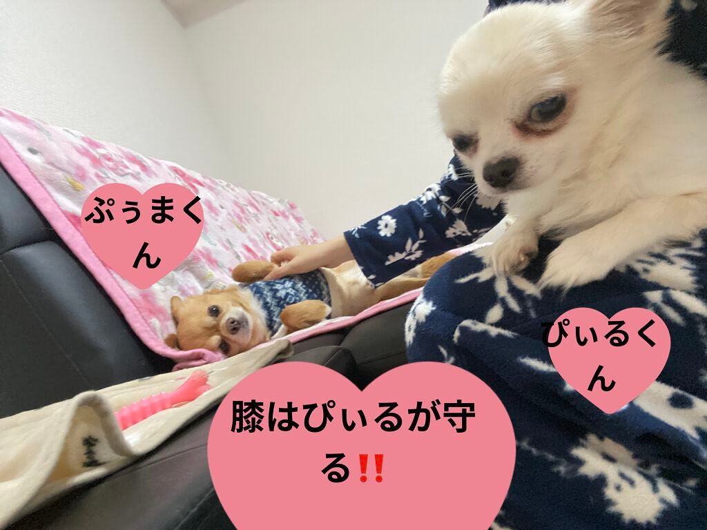 ディオリフィック グリッター トップ コート/Dior/ネイルトップコートを使ったクチコミ(6枚目)