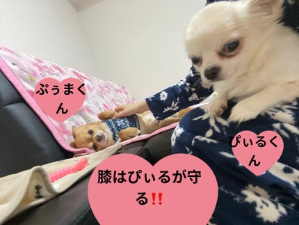 ディオリフィック グリッター トップ コート/Dior/ネイルトップコートを使ったクチコミ(6枚目)