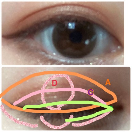 THE アイパレR/b idol/アイシャドウパレットを使ったクチコミ(4枚目)