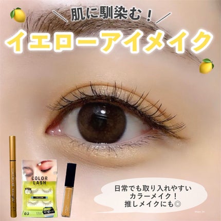 スキルレスライナー/LUMIURGLAS/リキッドアイライナーを使ったクチコミ(1枚目)