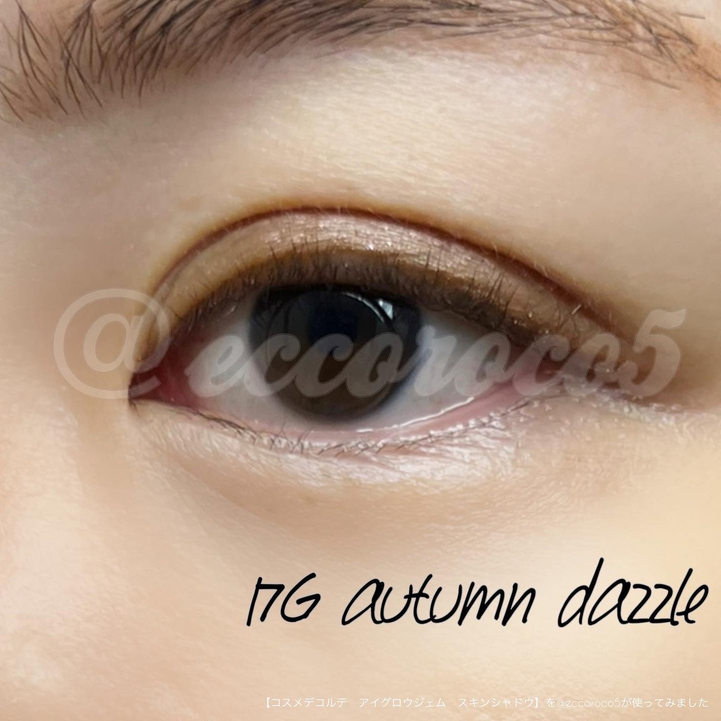 アイグロウジェム スキンシャドウ/DECORTÉ/ジェル・クリームアイシャドウを使ったクチコミ(4枚目)