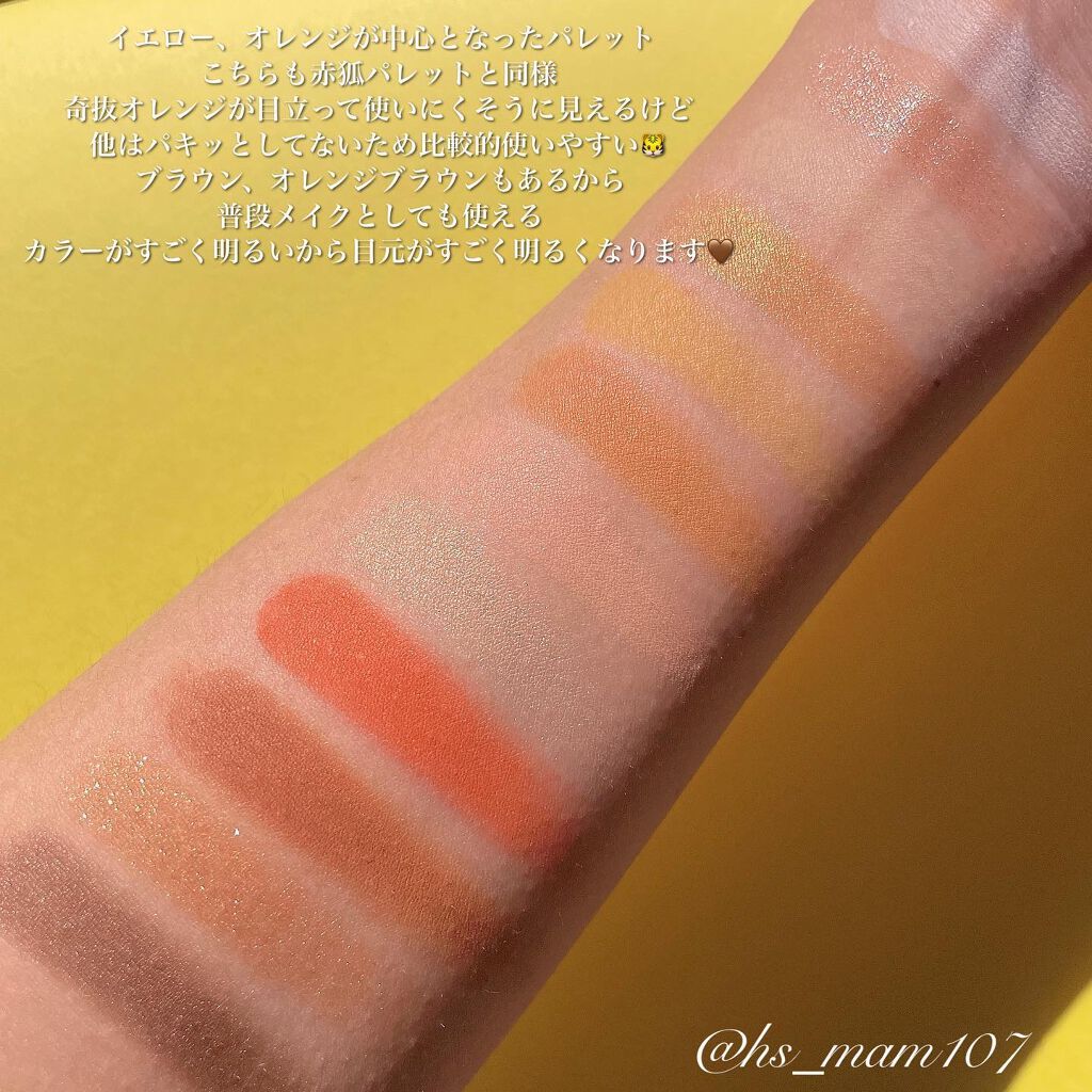 エクスプローラ12色 動物アイシャドウパレット/PERFECT DIARY/アイシャドウパレットを使ったクチコミ(4枚目)