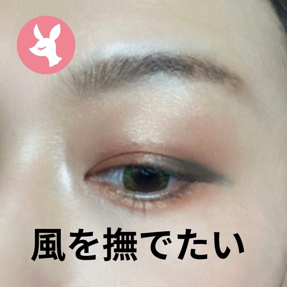 ザ アイシャドウ L/ADDICTION/単色アイシャドウを使ったクチコミ(2枚目)