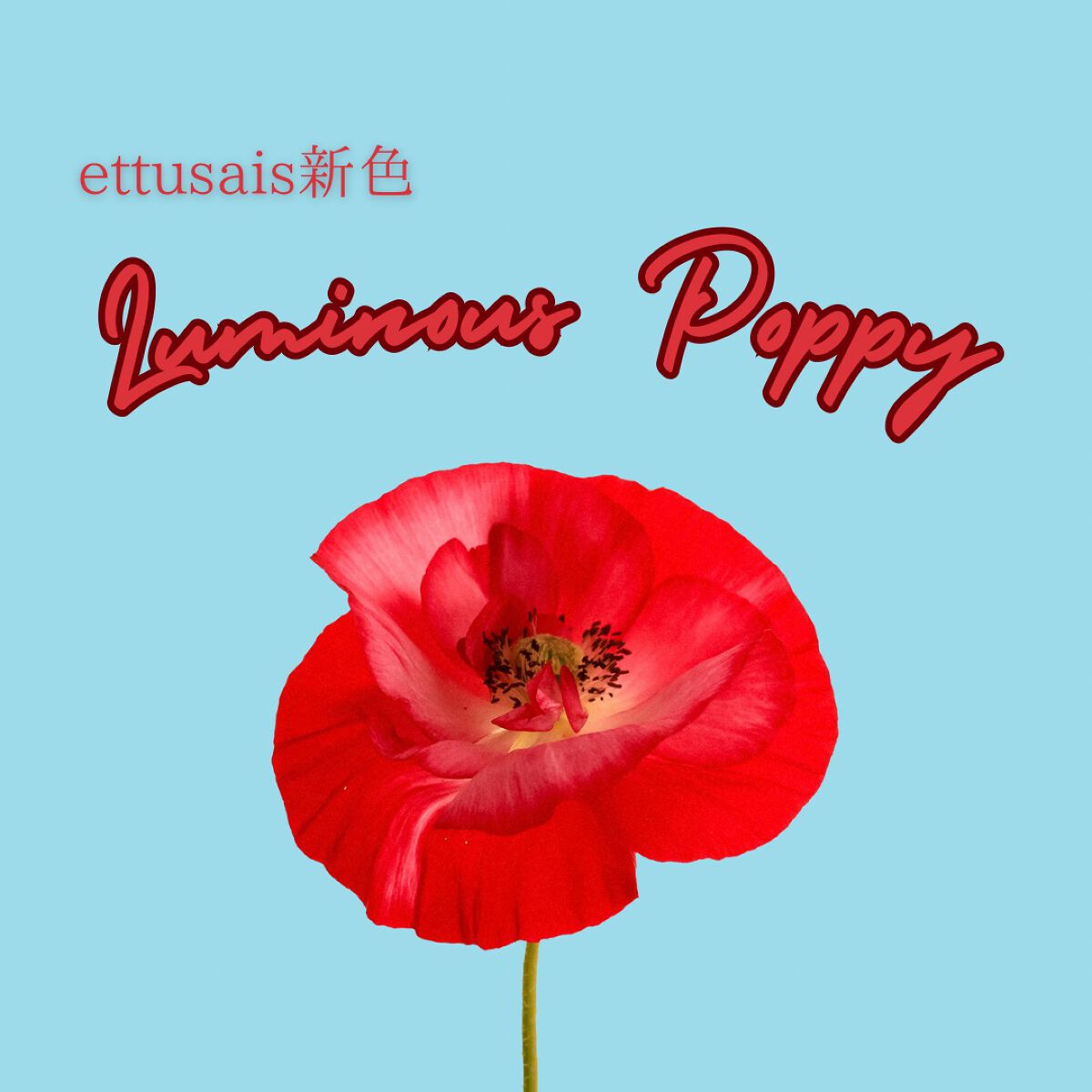 エテュセ アイエディション(カラーパレット)/ettusais/アイシャドウパレットを使ったクチコミ（1枚目）