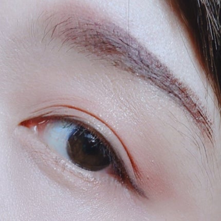 ヴィセ リシェ アイブロウパウダー/Visée/パウダーアイブロウを使ったクチコミ(6枚目)