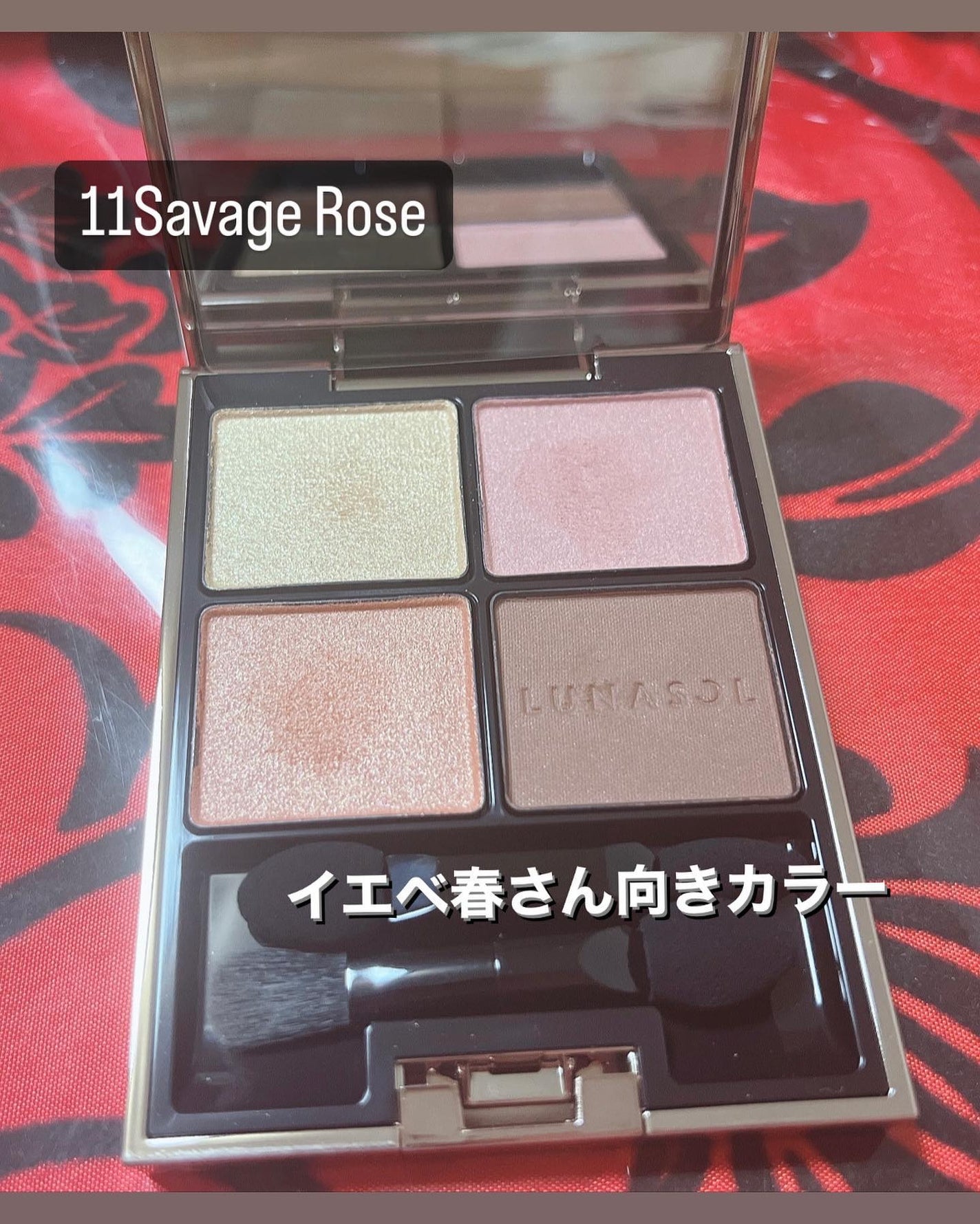 アイカラーレーション/LUNASOL/アイシャドウパレットを使ったクチコミ(2枚目)