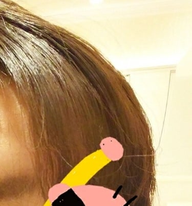 こんにちは！

今回ヘアカラーと、そのあとのケアに使ったヘアケアアイテムの比較をしようと思います。


使ったのは以下四品！

・ビューティーラボ  ビターショコラ

・Lux リッチシャイントリートメ