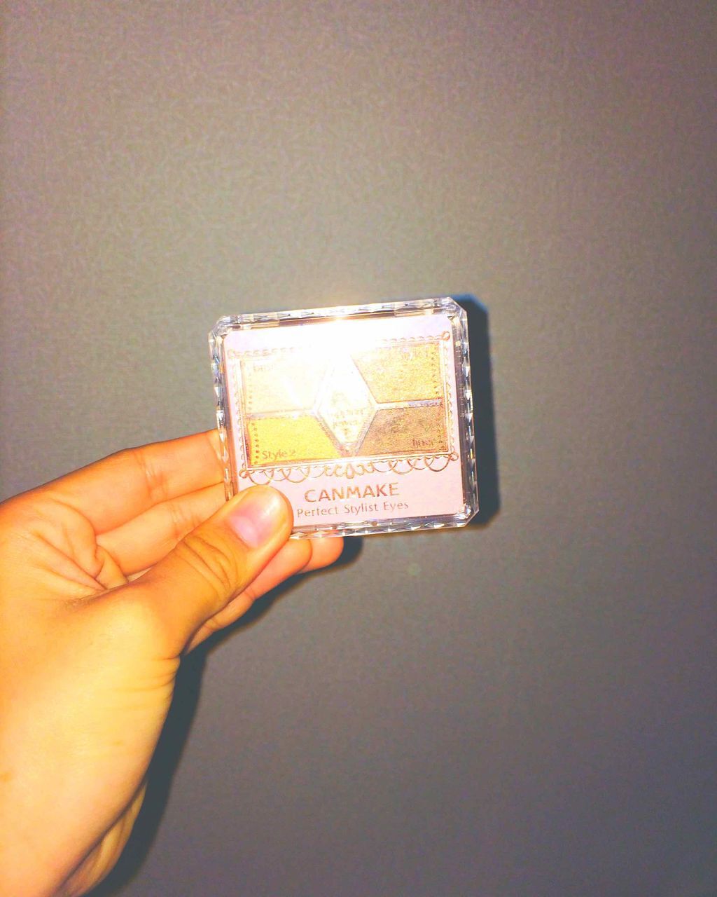 【旧品】パーフェクトスタイリストアイズ/キャンメイク/アイシャドウパレットを使ったクチコミ（1枚目）