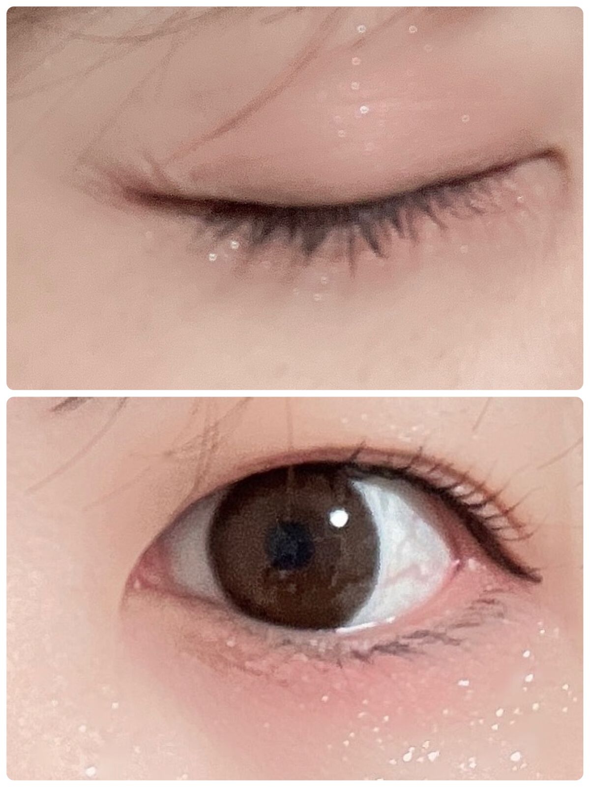 シャドウパレット/dasique/アイシャドウパレットを使ったクチコミ（3枚目）