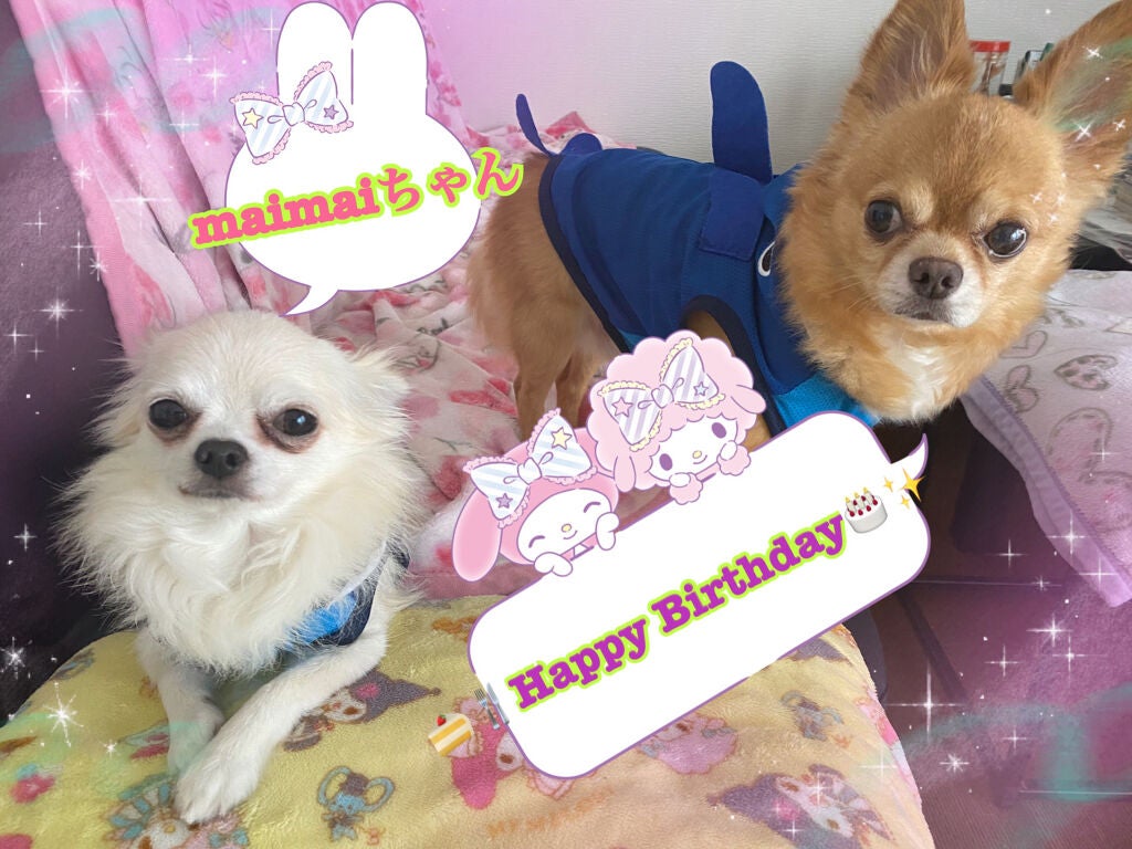 ミニネイル/パラドゥ/マニキュアを使ったクチコミ(2枚目)