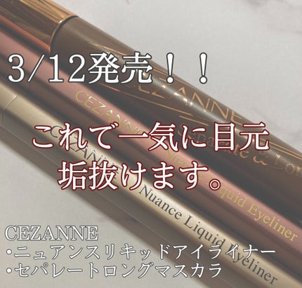 セパレートロングマスカラ/CEZANNE/マスカラを使ったクチコミ(1枚目)