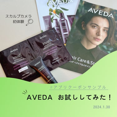 インヴァティ アドバンス シャンプー／ヘアデンス コンディショナー/AVEDA/シャンプー・コンディショナーを使ったクチコミ（1枚目）