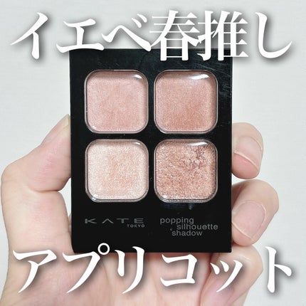 ケイト ポッピングシルエットシャドウ/KATE/アイシャドウパレットを使ったクチコミ(1枚目)