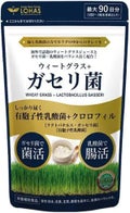 LOHASウィートグラス + ガセリ菌