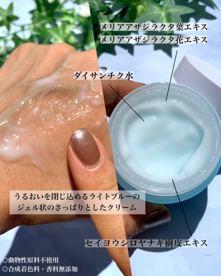 ヒアルブースタークリーム/NACIFIC/フェイスクリームを使ったクチコミ(9枚目)