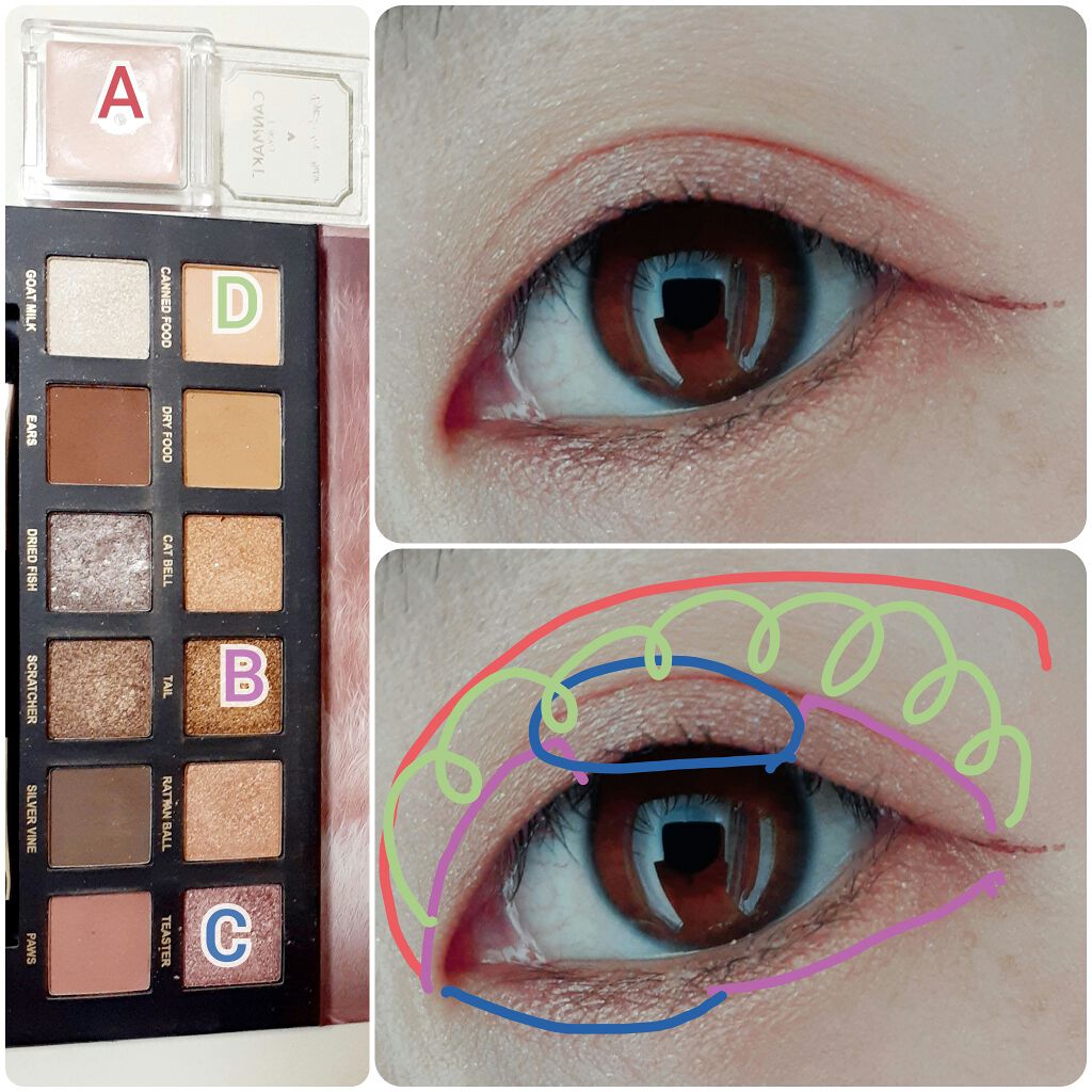 アイシャドウベース/キャンメイク/アイシャドウベースを使ったクチコミ（2枚目）