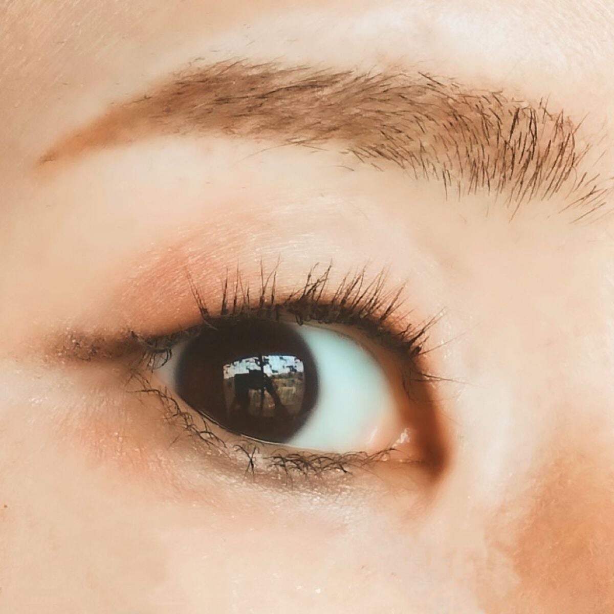 MFL アイシャドウ/moitiful/アイシャドウパレットを使ったクチコミ(6枚目)