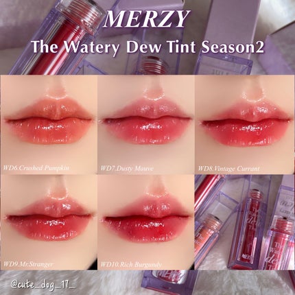 ザ ウォータリーデューティント/MERZY/リップティントを使ったクチコミ(1枚目)