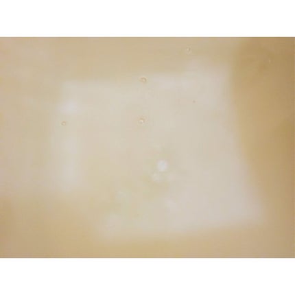 薬用 HOT TAB WELLNESS /HOT TAB/炭酸系入浴剤を使ったクチコミ(4枚目)