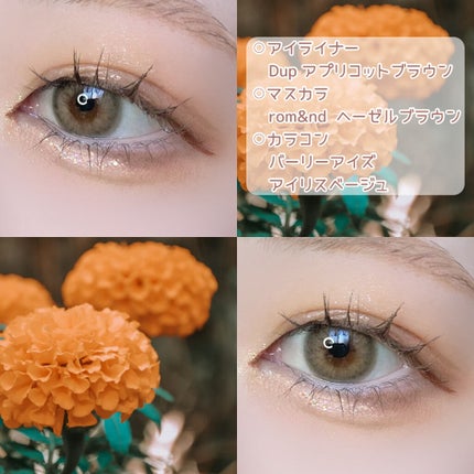 プリズム パウダーアイカラー/リンメル ロンドン/単色アイシャドウを使ったクチコミ(5枚目)