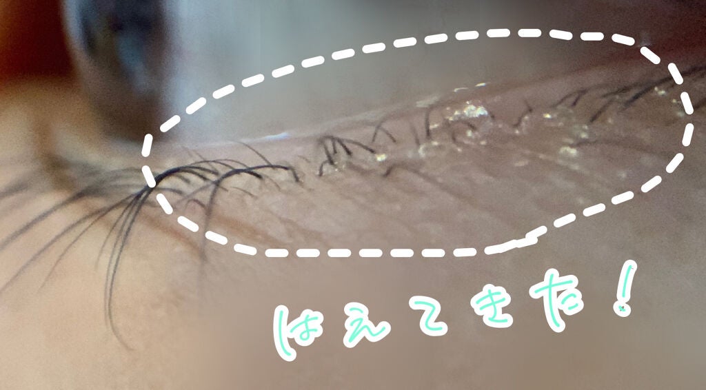 ラッシュジェリードロップ EX/MAJOLICA MAJORCA/まつげ美容液を使ったクチコミ(3枚目)