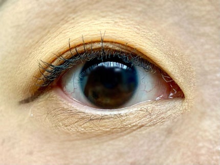 ホリカホリカ ラッシュコレクティングマスカラ/HOLIKA HOLIKA/マスカラを使ったクチコミ(4枚目)