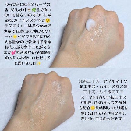 アンティーククレンザー/TEABLESS/その他洗顔料を使ったクチコミ(2枚目)