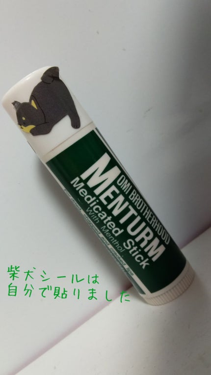 薬用スティックレギュラー/メンターム/リップクリームを使ったクチコミ(2枚目)
