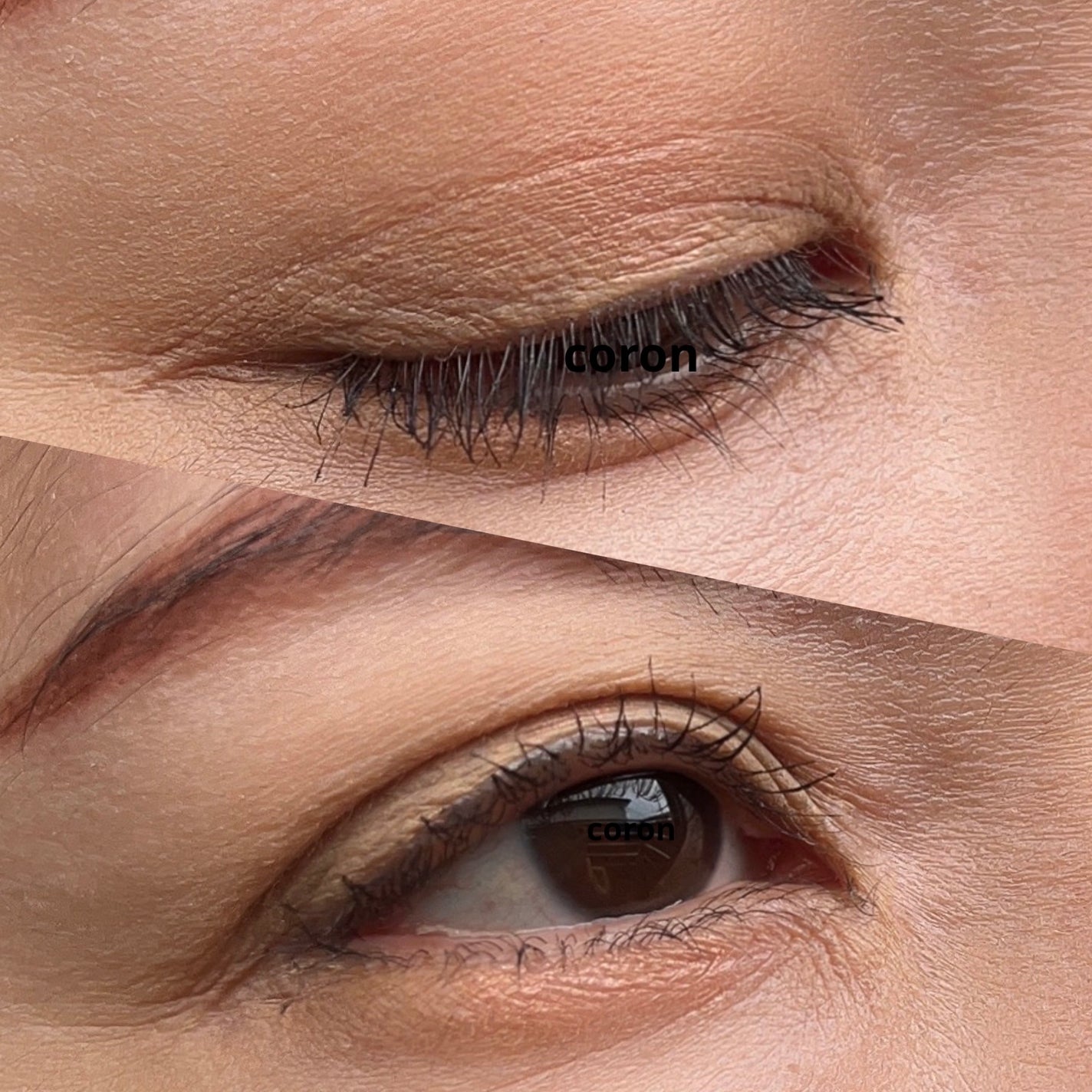 ã«ã©ãŒãªã³ã°ã¢ã€ãããŠ/ãããŒããŒããŒã·ã§ã³/çãã¹ã«ã©ã䜿ã£ãã¯ãã³ãïŒ2æç®ïŒ