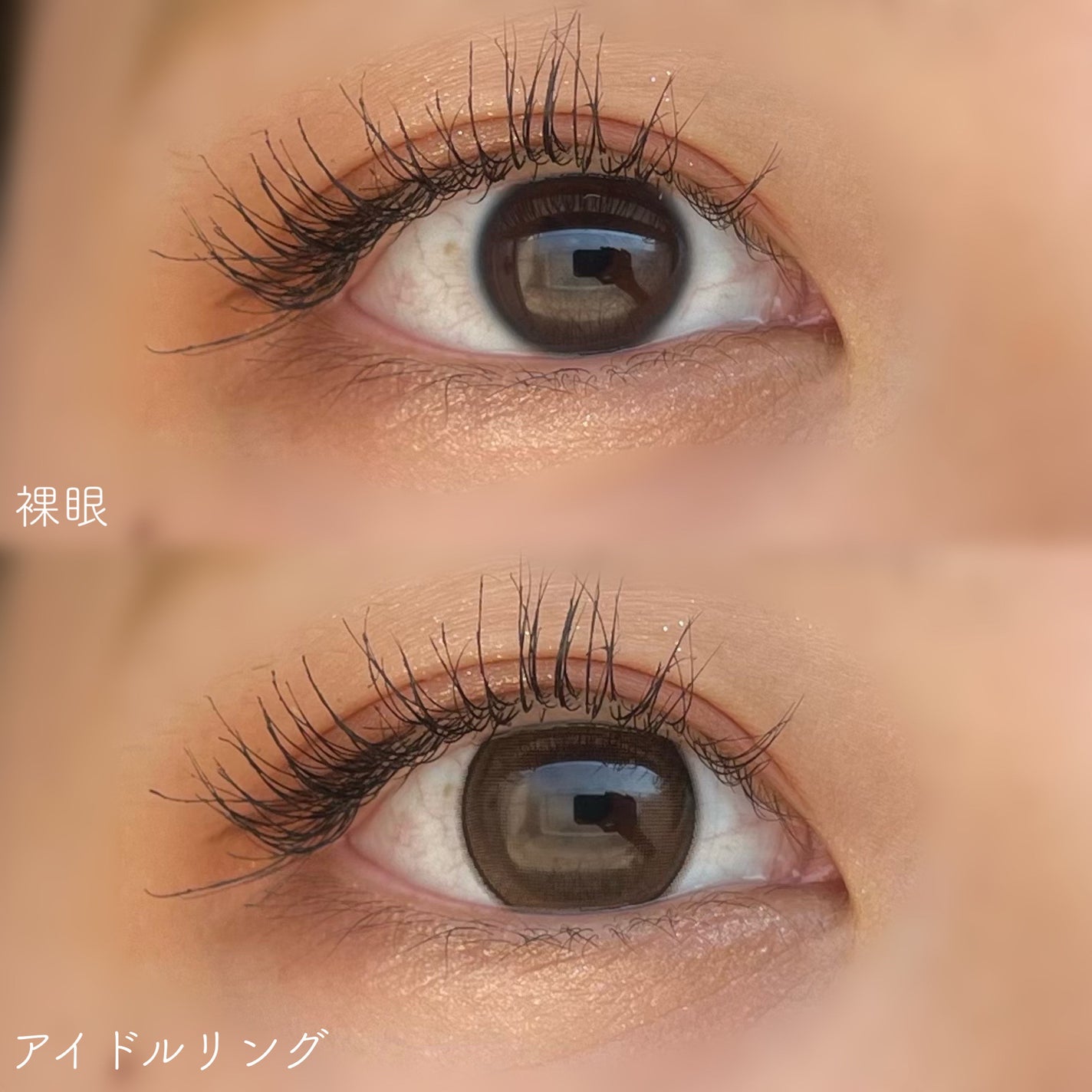 melady 1day/melady/ワンデー(1DAY)カラコンを使ったクチコミ(5枚目)