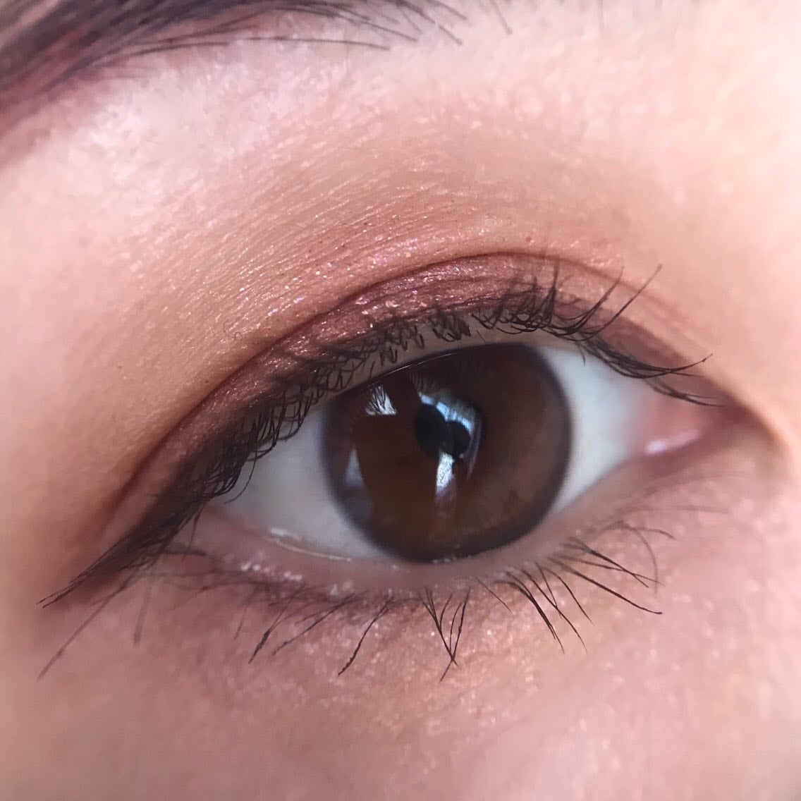 アイカラーレーション/LUNASOL/アイシャドウパレットを使ったクチコミ(2枚目)