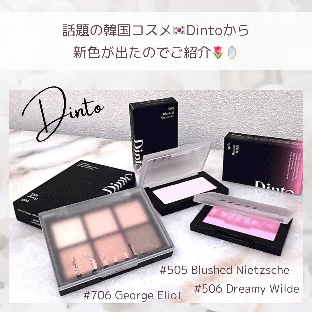 ブラーフィニシュシャドウパレット/Dinto/アイシャドウパレットを使ったクチコミ(2枚目)