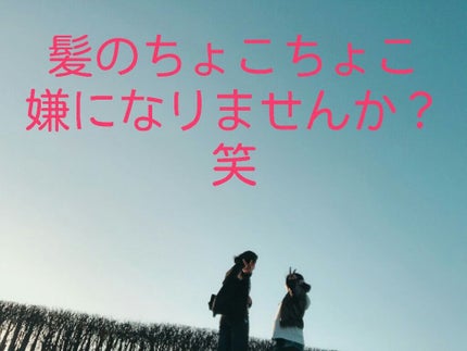 ナチュラル&キープ 無香料/ケープ/ヘアスプレーを使ったクチコミ(1枚目)