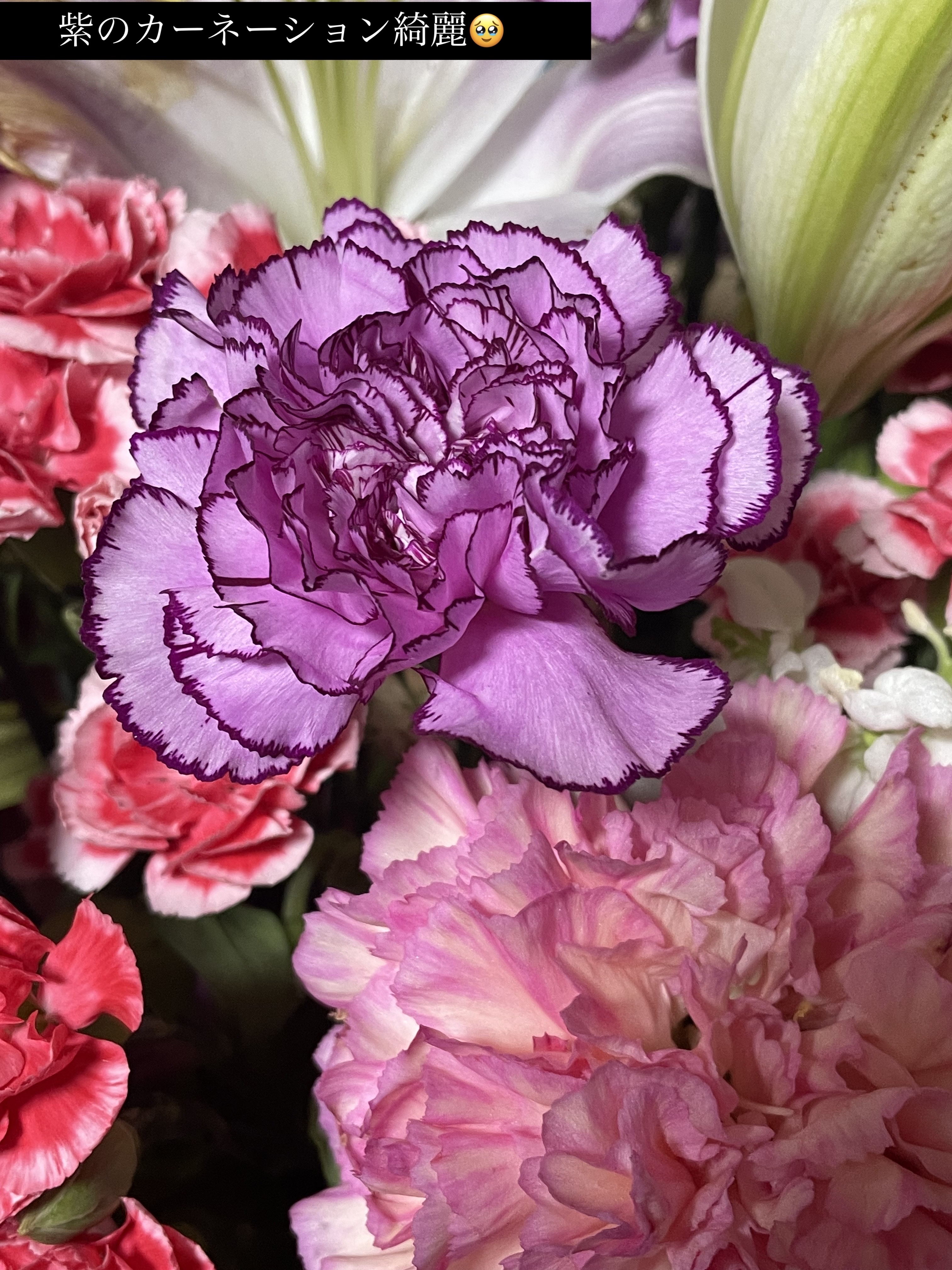 ウォータリーティントリップ/CEZANNE/リップティントを使ったクチコミ（2枚目）