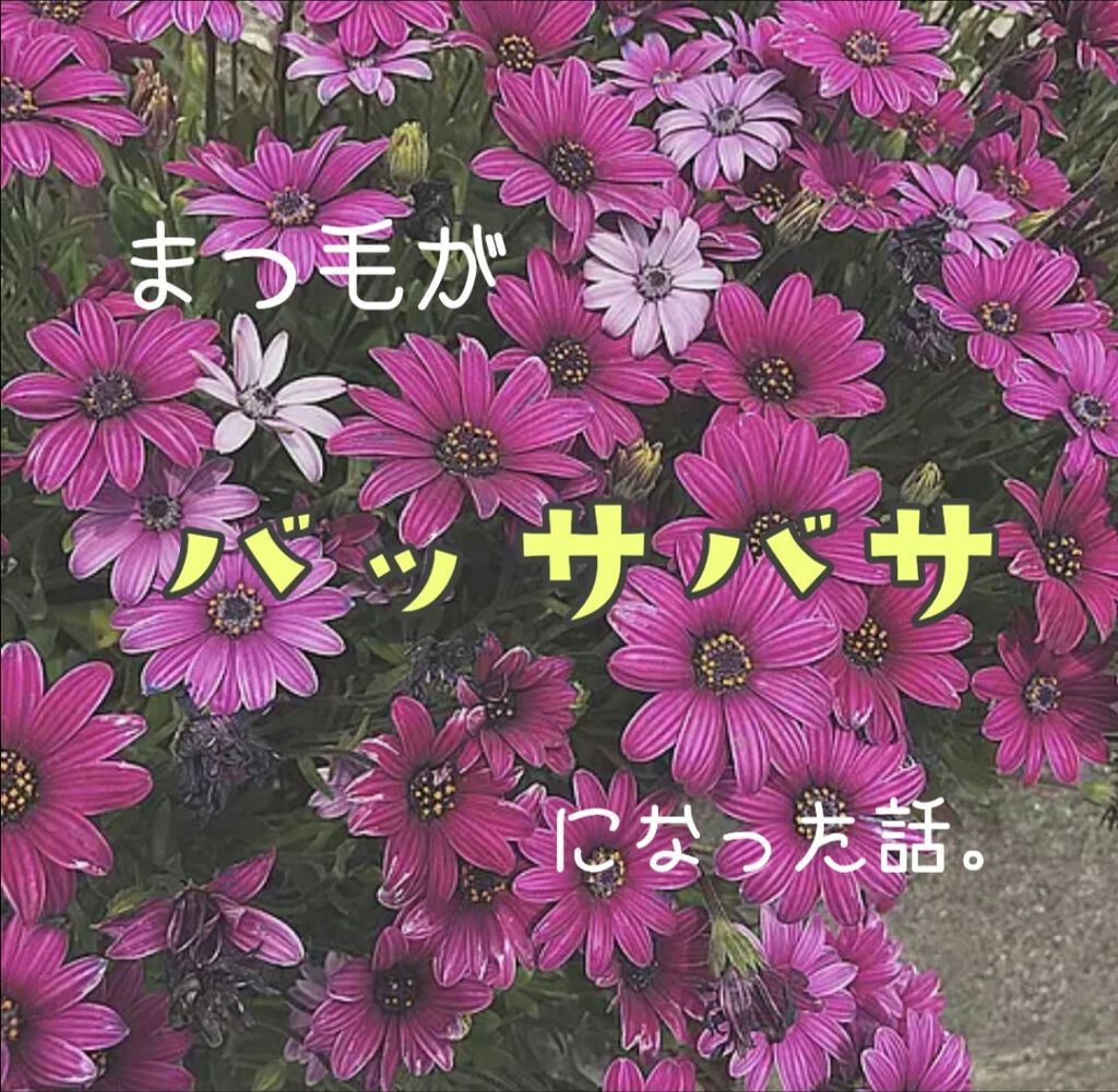 ラッシュジェリードロップ　ＥＸ/MAJOLICA MAJORCA/まつげ美容液を使ったクチコミ（1枚目）