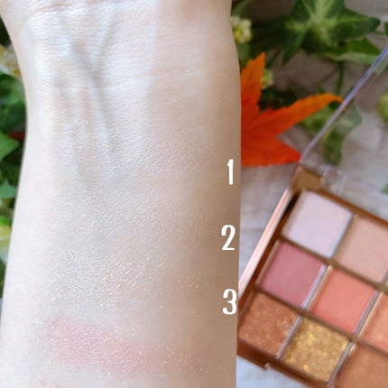 ワンピックアイシャドウパレット/APLIN/アイシャドウパレットを使ったクチコミ(4枚目)