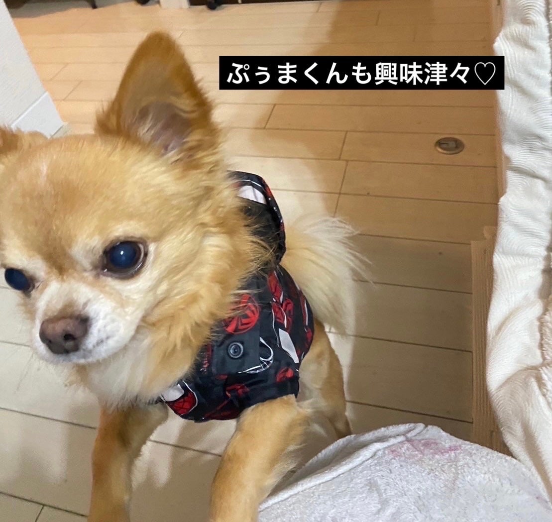 メンソレータム リペアワン 角質ケアリップ/メンソレータム/リップクリームを使ったクチコミ(7枚目)