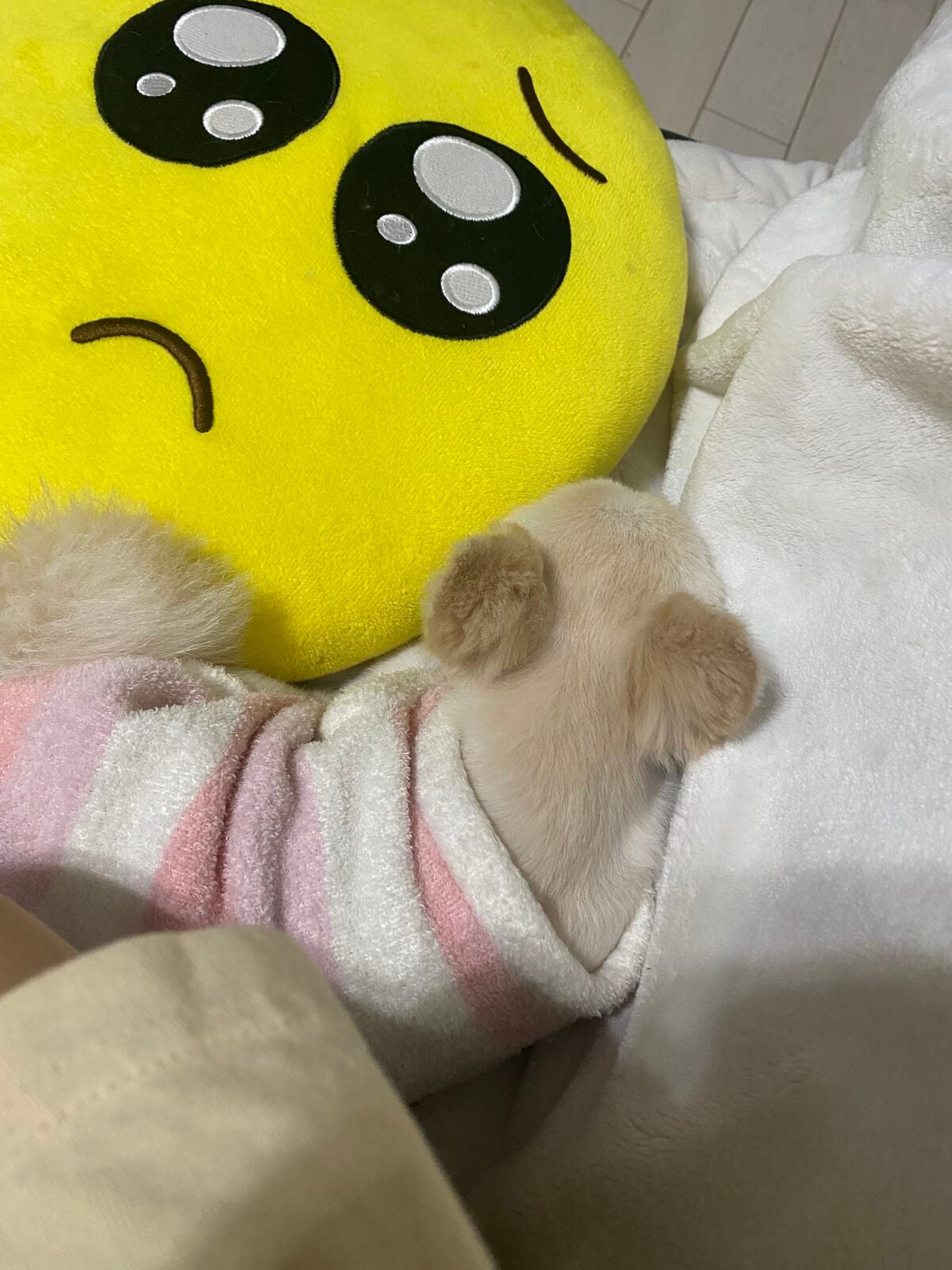 ミラーエフェクト ジェルグロス/GUERLAIN/リップグロスを使ったクチコミ(9枚目)