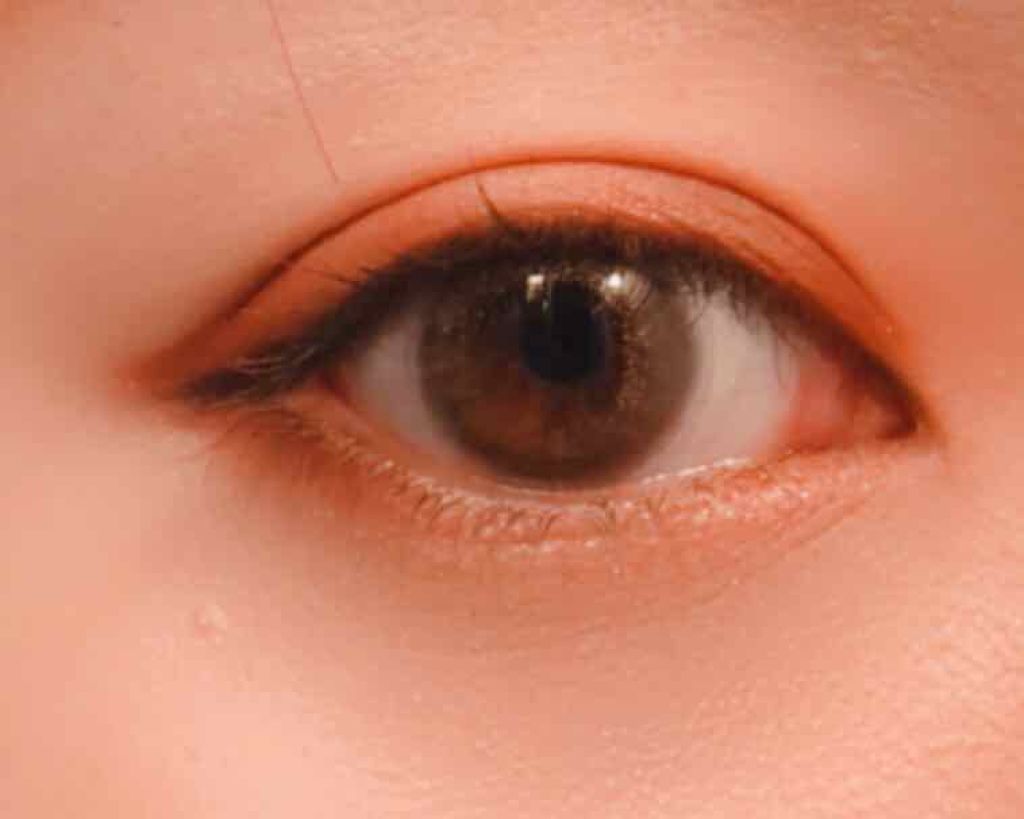 Angelcolor Bambi Series Vintage 1day/AngelColor/ワンデー(1DAY)カラコンを使ったクチコミ(2枚目)